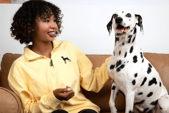 Style for Every Breed
